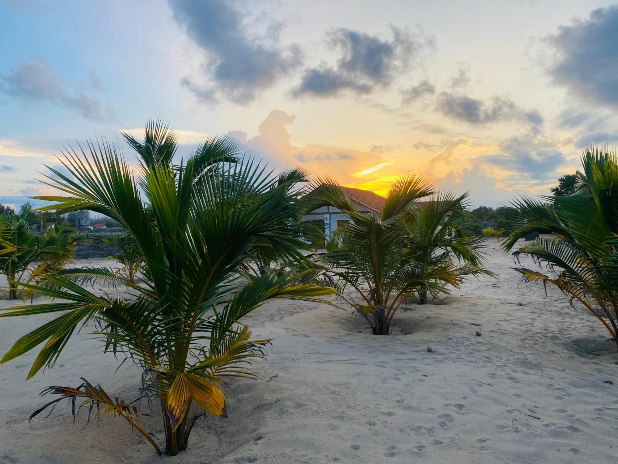 Oceano Beach Villa Arugam Bay Kültér fotó